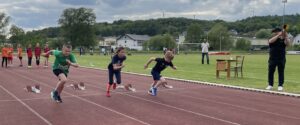 Merle beim Start